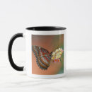 Search for natural selection mugs Selective focus