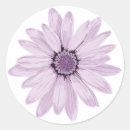 Search for light purple stickers Floral