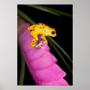 Search for poisonous plants posters Flower