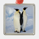 Search for antarctica christmas tree decorations Wildlife