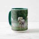 Search for running horse mugs Danita delimont