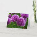 Search for chive cards Flowers