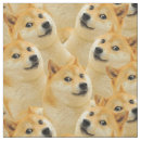 Search for inu Animals