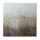 Search for dune tiles Coastal