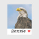 Search for freedom lover stickers Bald eagle