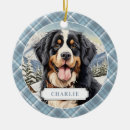 Search for wonderland christmas tree decorations Cute