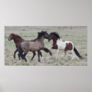 Search for foal art Western