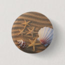 Search for pictures of shells badges Sand