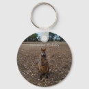 Search for wallabies key rings Wildlife