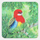Search for red parrot stickers Blue