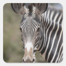 Search for kenya stickers Rural scene