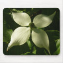 Search for dogwood mouse mats Blossom