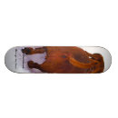 Search for dachshund skateboards Funny