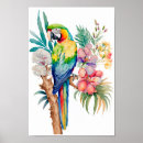 Search for amazon parrot posters Vintage