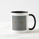 Search for earrings mugs School