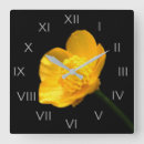 Search for yellow clocks Wildflower