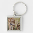 Search for lion cub key rings Safari