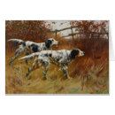 Search for english setter cards Setters