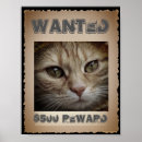 Search for cat posters Picture