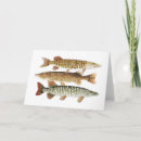 Search for pike cards Fishing