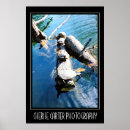 Search for funny turtles posters Water