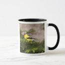 Search for american goldfinch mugs Wildlife