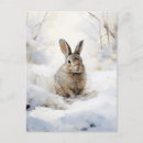 Search for rabbit painting postcards Classic
