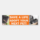 Search for puppy bumper stickers Cat