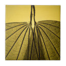 Search for vein tiles Garden