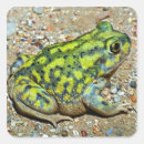 Search for green frog stickers Outdoors