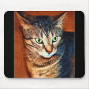 Search for greeting cards electronics Cat