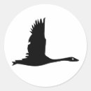 Search for low flying stickers Animal