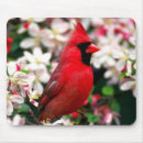 Search for west virginia mouse mats Indiana