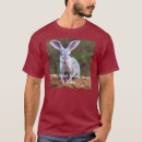 Search for bilbies Wildlife