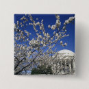Search for washington dc badges Landmark