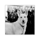 Search for ghost rubber stamps Fun