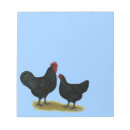 Search for chicken notepads Bird