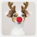 Search for reindeer envelope seals Cute