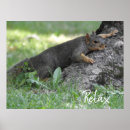 Search for relaxed posters Cute