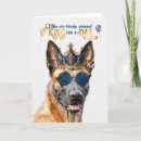 Search for belgian malinois cards Dogs