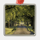 Search for kentucky christmas tree decorations Nature
