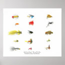Search for fly fishing posters Sports