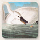 Search for 1838 barware Audubon