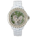Search for chihuahua watches Cute