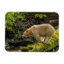 Search for cathy magnets Forest