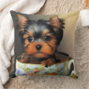 Search for teacup yorkie Puppy