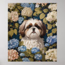 Search for shih tzu posters Puppy