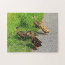 Search for duck puzzles Beautiful