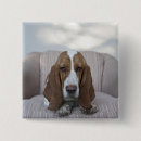 Search for lying down badges Animal