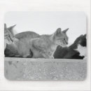 Search for concentration mouse mats Focus